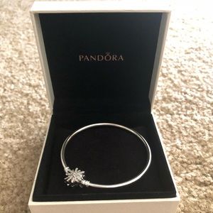 Pandora bangle